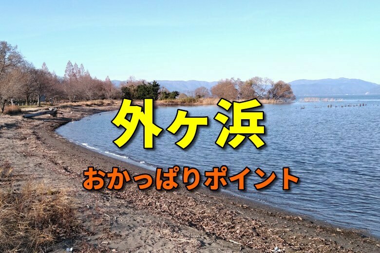 琵琶湖・湖西のおかっぱりバス釣りポイント ｜ 琵琶湖おかっぱりナビ