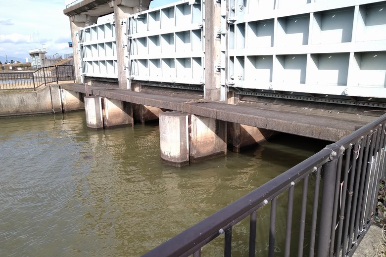 葉山川の南の水路のゲート