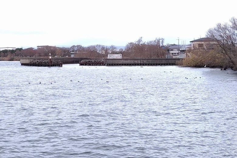 大井川河口から見た相撲船溜まり