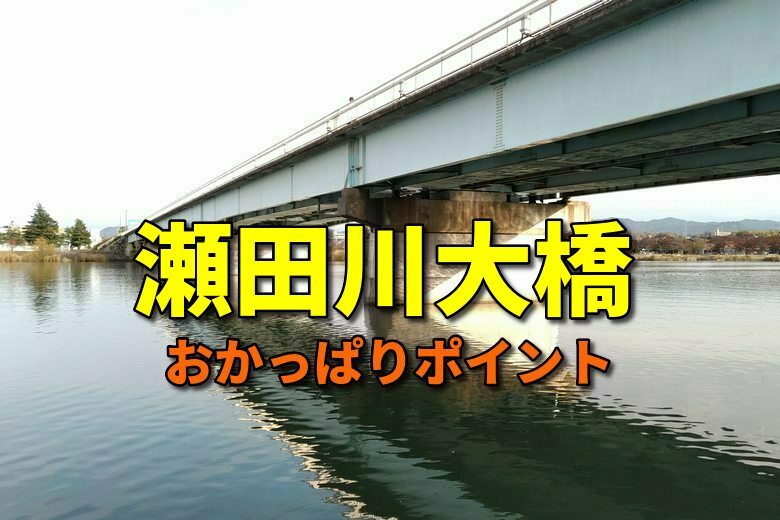 瀬田川大橋の周辺のおかっぱりバス釣りポイント